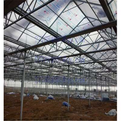 Makrolon polycarbonate sheet for roofing/pc hollow sheet for shed/hollow pc sheet for greenhouse